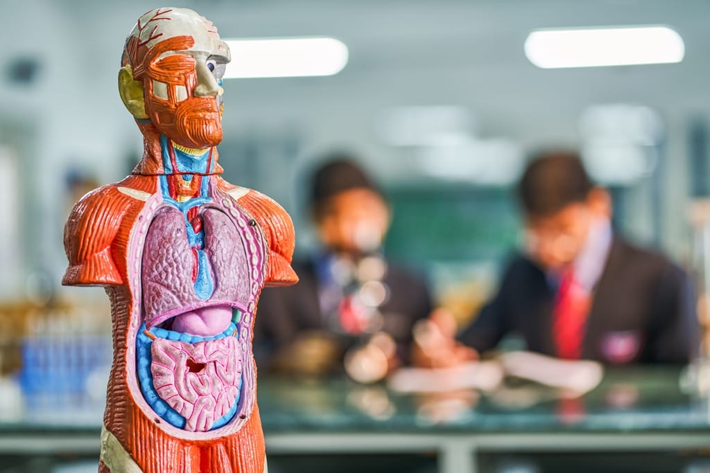 Best CBSE Schools in Coimbatore